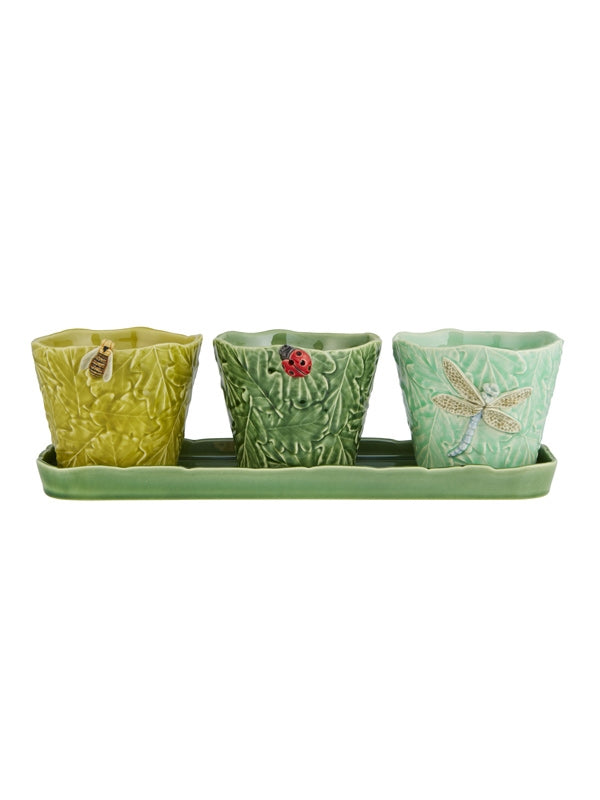 SET OF 3 TERRESTRIAL INSECT Flower/Herb Pots Fragola
