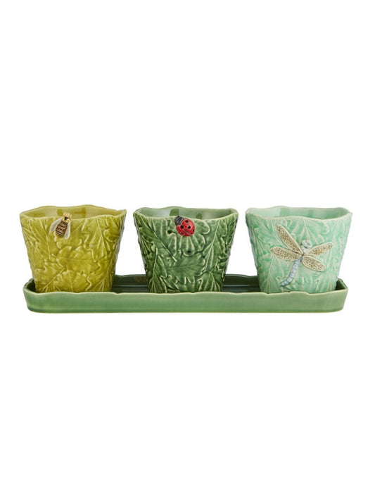 SET OF 3 TERRESTRIAL INSECT Flower/Herb Pots Fragola