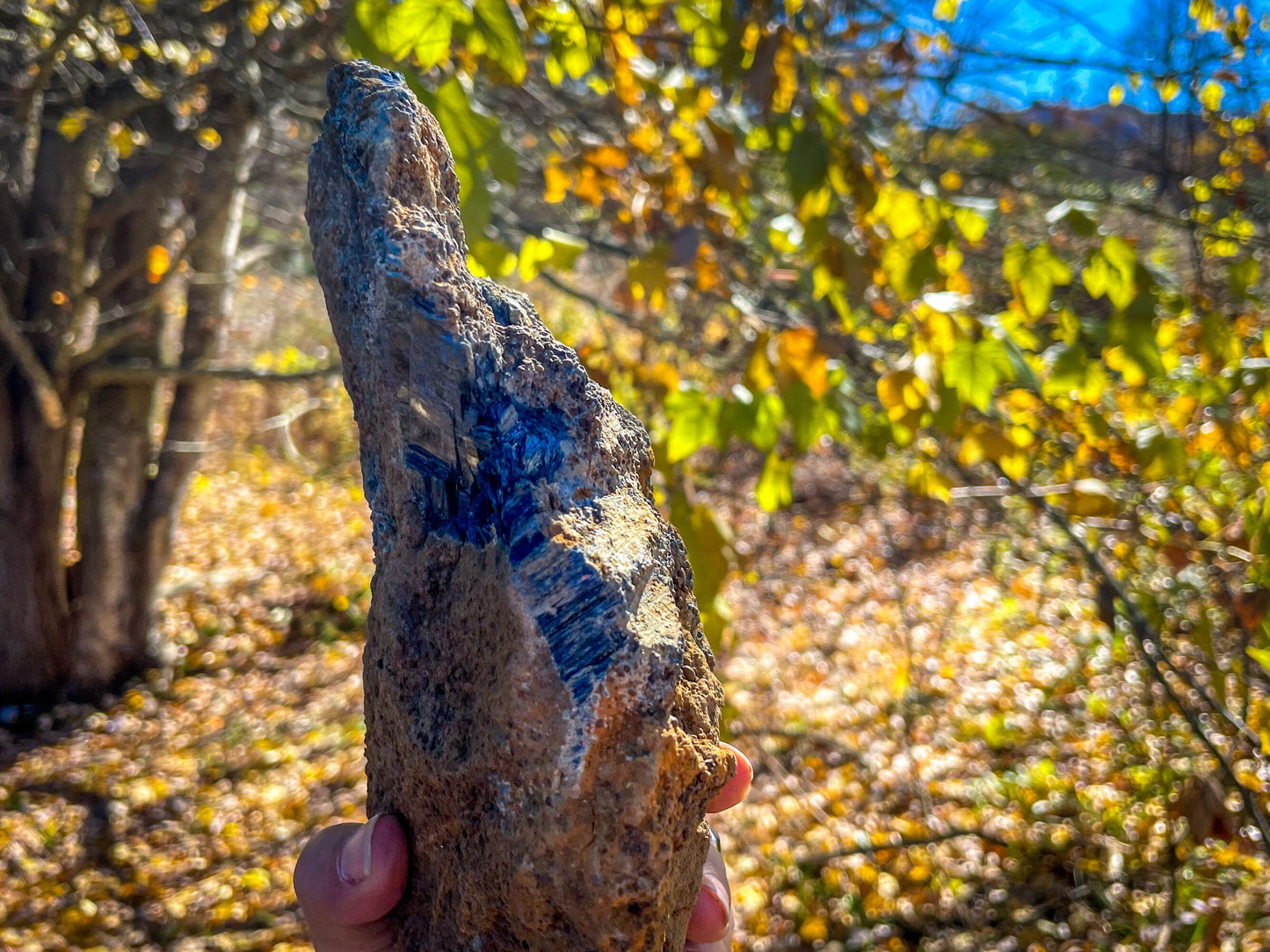 8" Raw VIVIANITE Specimen