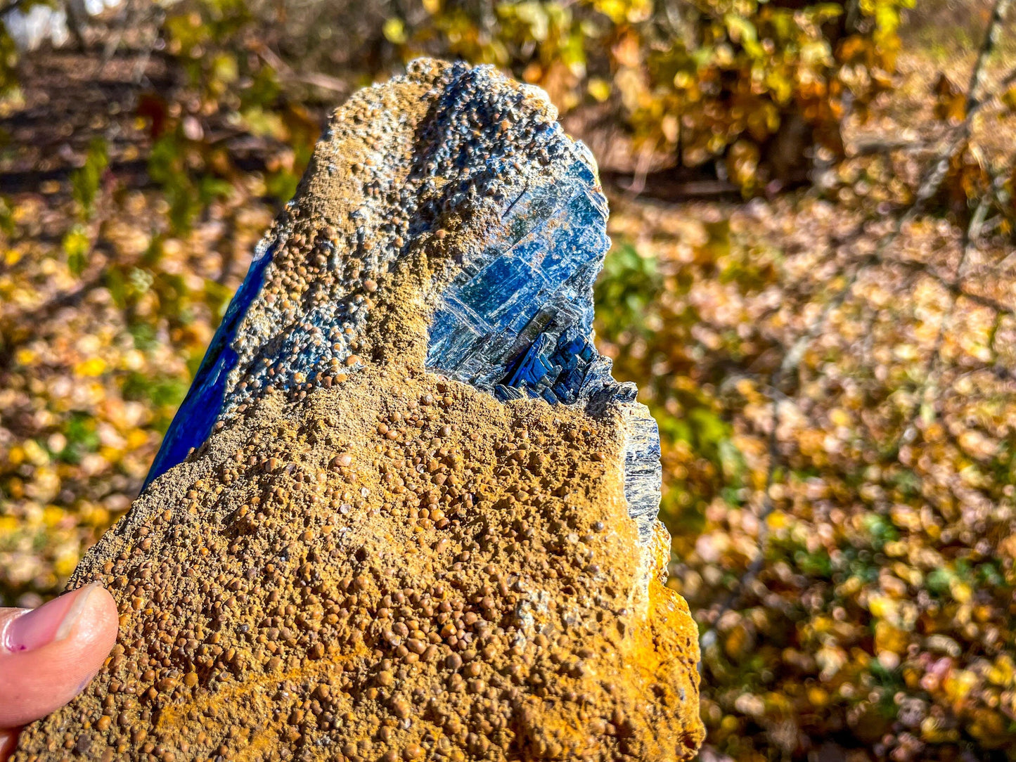 8" Raw VIVIANITE Specimen