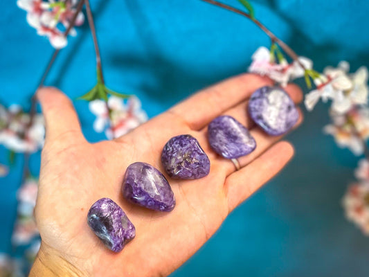 Polished Charoite Mandala Gems