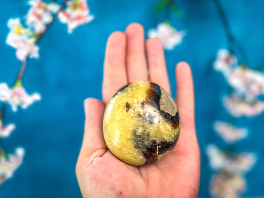 Septarian Palm Stones