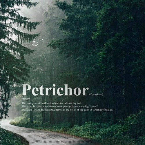 Petrichor - /ˈpetrīˌkôr/ - The Smell of Rain - REED DIFFUSER Moon Water Apothecary