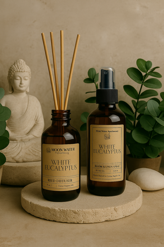 White Eucalyptus - REED DIFFUSER  – Fresh Clean Aromatherapy Scent Moon Water Apothecary