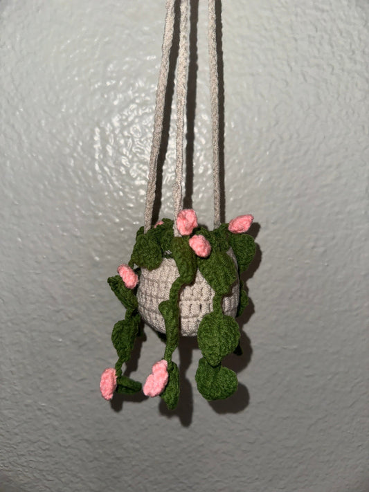 Crochet Hanging Plants