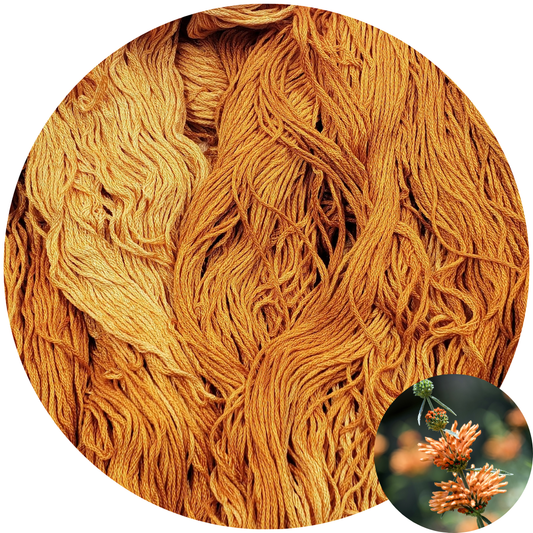 Lion's Tail - Flower Silk by StitchyBox (Standard Colorway)