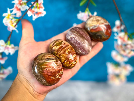 Petrified Wood Palm Stone