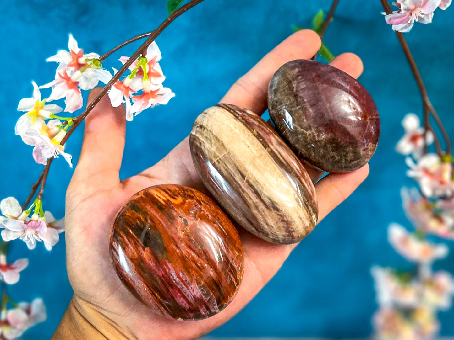 Petrified Wood Palm Stone