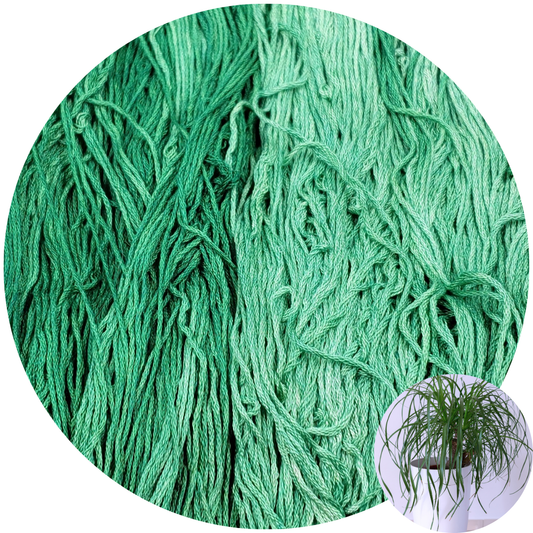 Ponytail Palm - Flower Silk by StitchyBox (Standard Colorway)