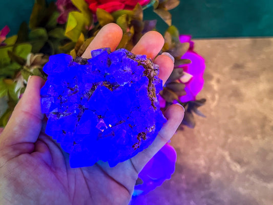 Rare Purple Rain Pocket Fluorite Clusters, Lady Annanella Mine, CLOSED Mine!, Daylight Fluorescent