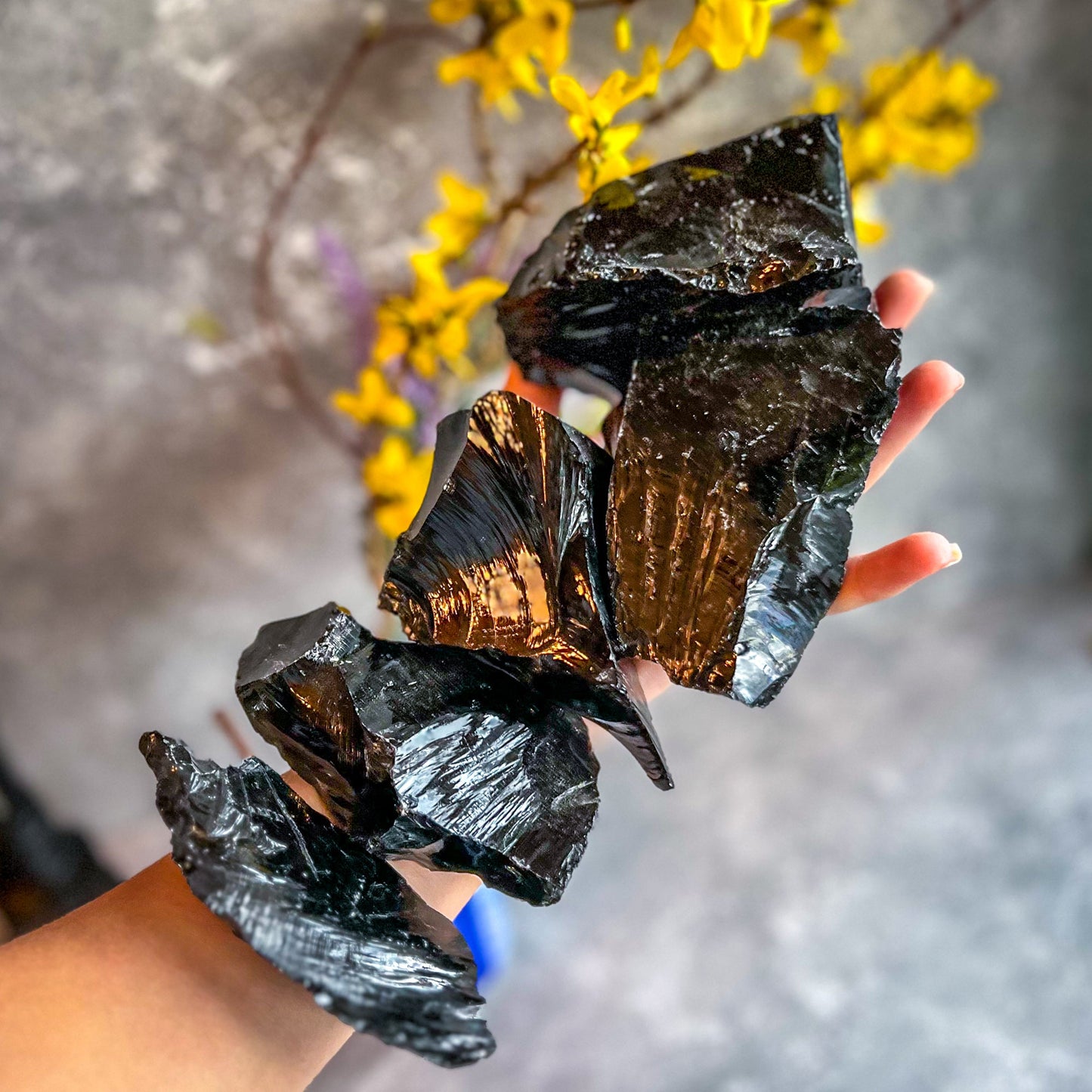 Raw Columbian Shungite