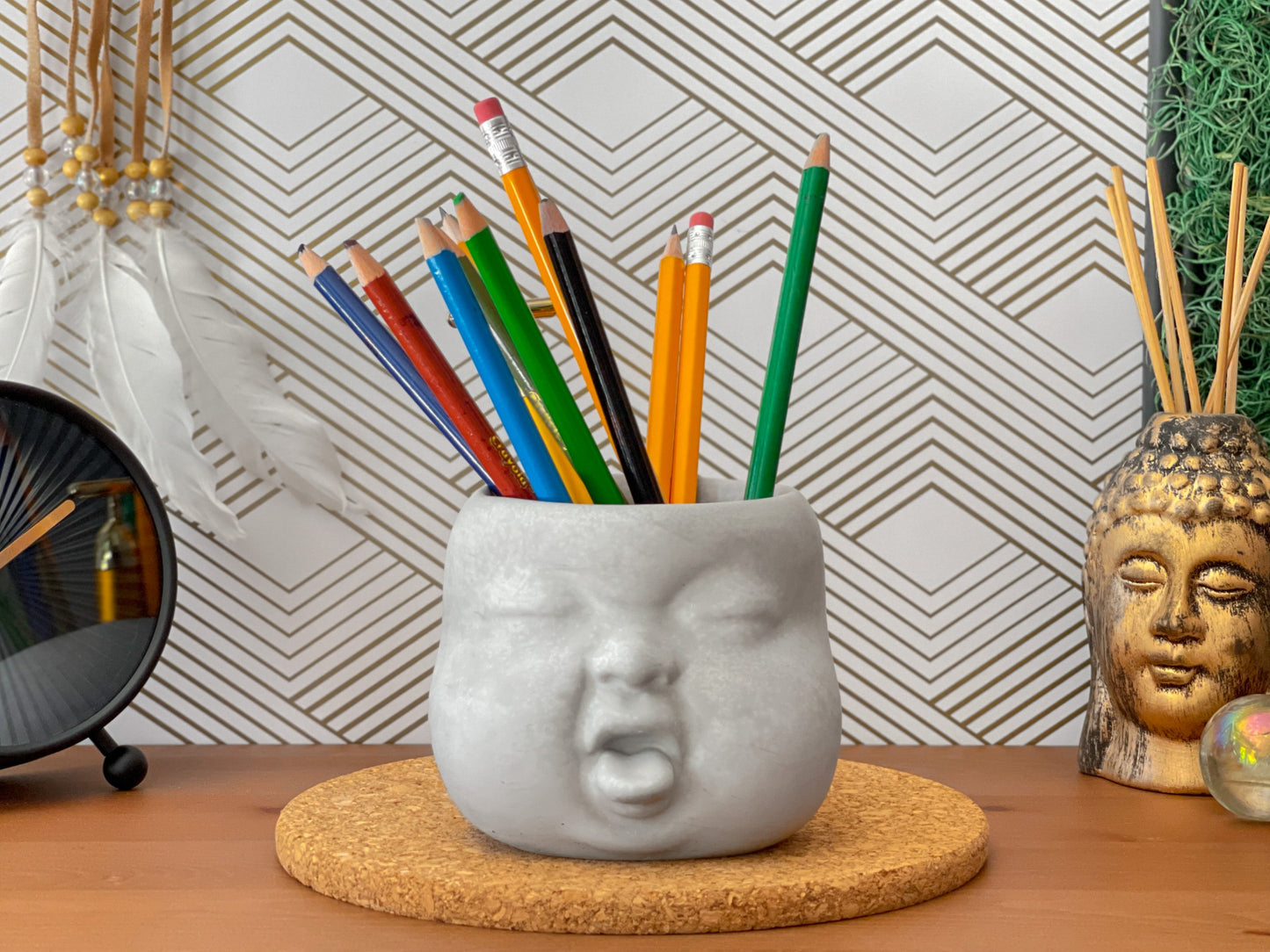 Baby Face Succulent Planter