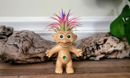 Treasure Troll Air Plant Holder Mountain Mudworks