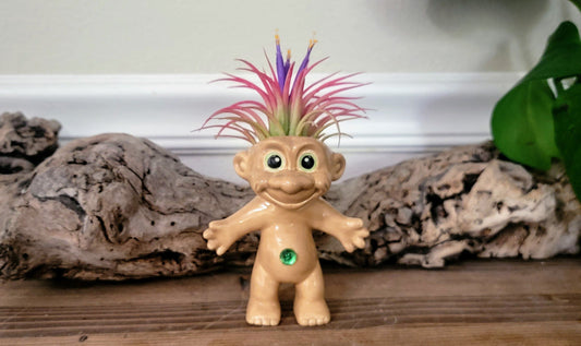 Treasure Troll Air Plant Holder Mountain Mudworks