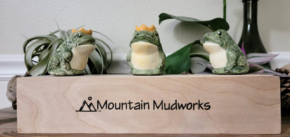 Prince Frog Watering Spike Mountain Mudworks