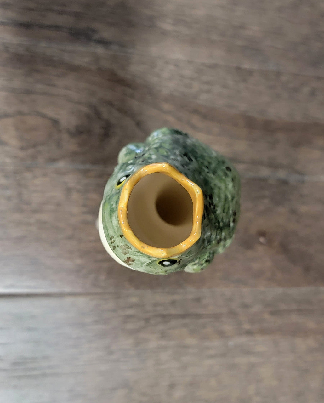 Prince Frog Watering Spike Mountain Mudworks