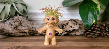 Treasure Troll Air Plant Holder Mountain Mudworks