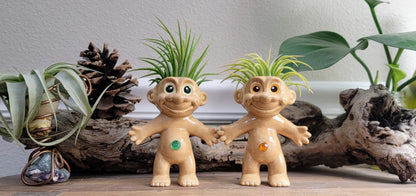 Treasure Troll Air Plant Holder Mountain Mudworks