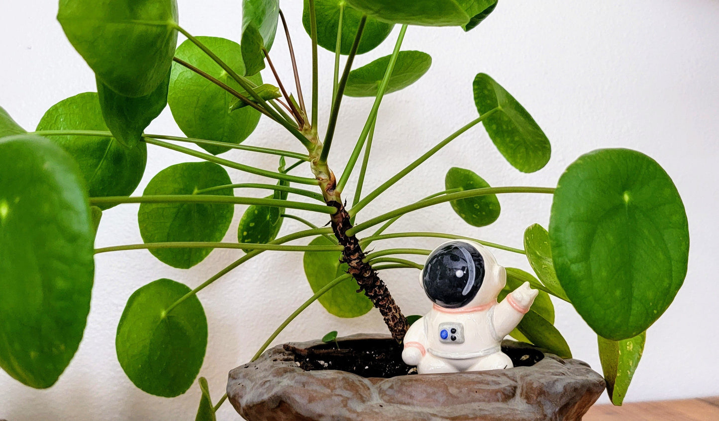 Ceramic Self-Watering Plant Spike - Astronaut Watering Spike Mountain Mudworks