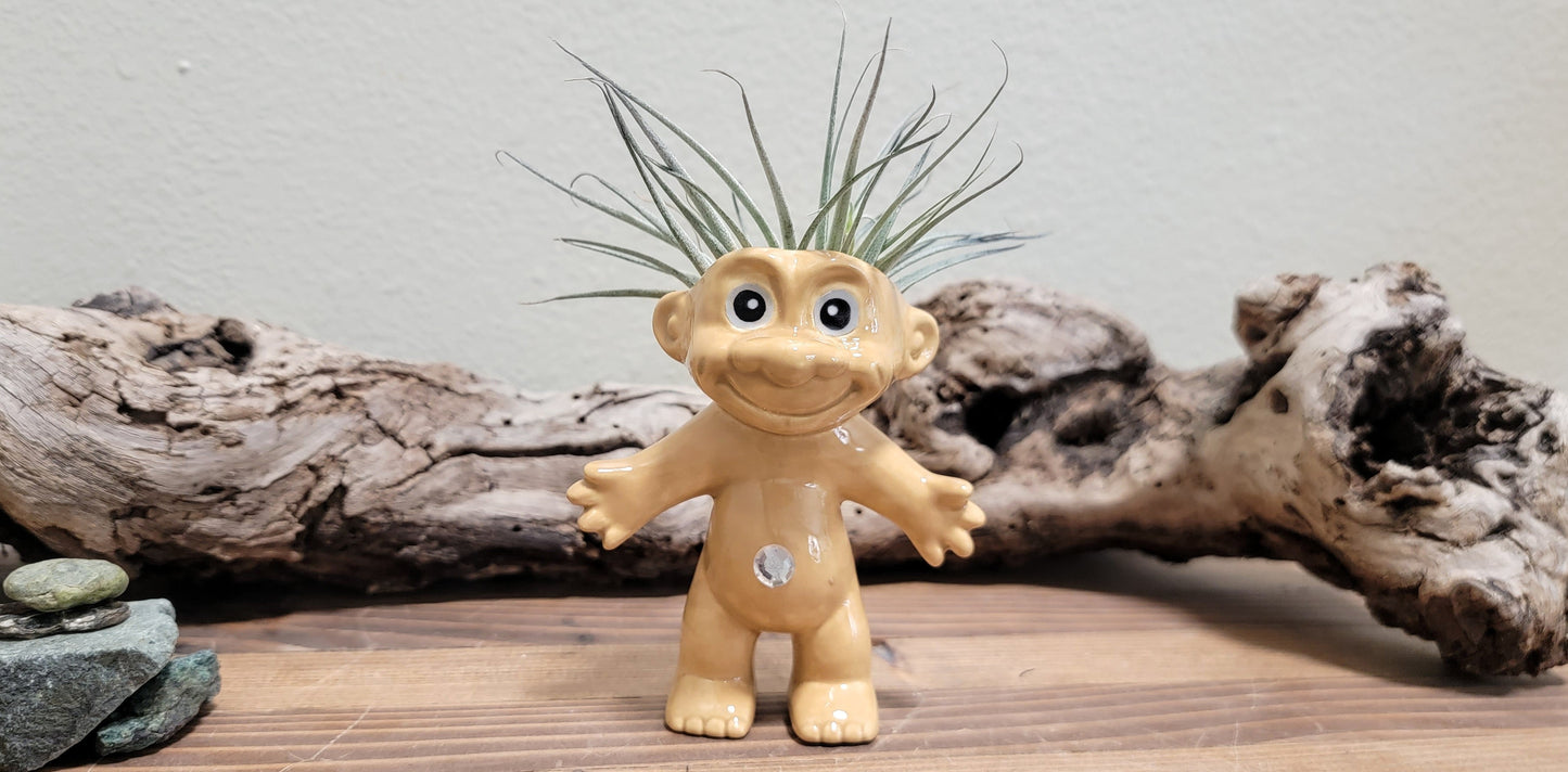 Treasure Troll Air Plant Holder Mountain Mudworks