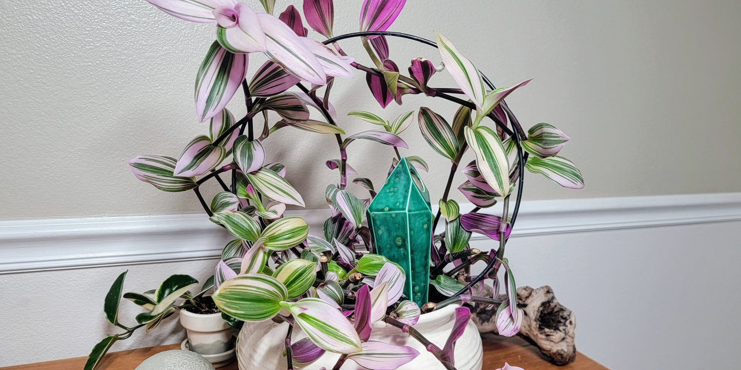 Tall Crystal Plant Watering Spike Mountain Mudworks