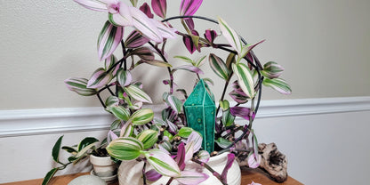 Tall Crystal Plant Watering Spike Mountain Mudworks