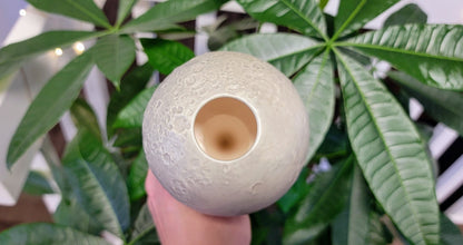 Moon Plant Watering Spike Mountain Mudworks