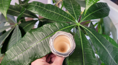 Small Turret Castle Watering Spike Mountain Mudworks