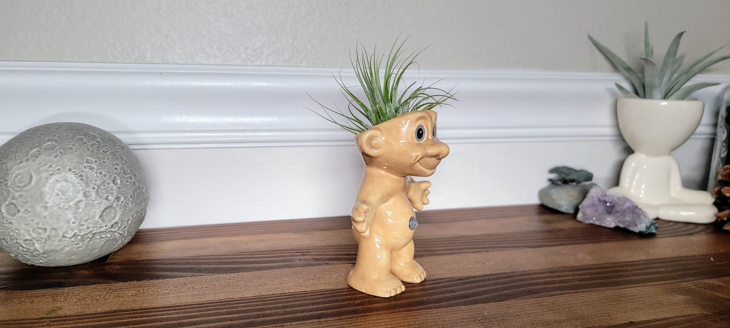 Treasure Troll Air Plant Holder Mountain Mudworks