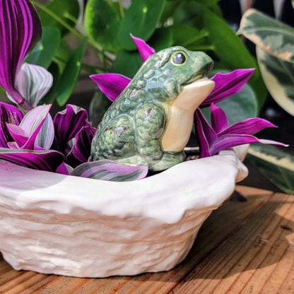 Frog Watering Spike Mountain Mudworks