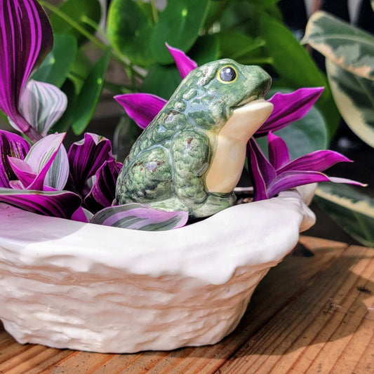 Frog Watering Spike Mountain Mudworks