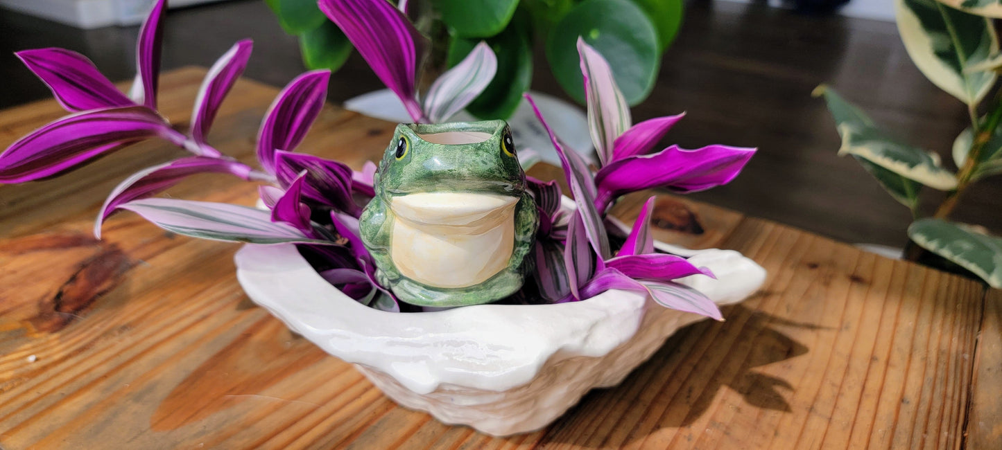 Frog Watering Spike Mountain Mudworks