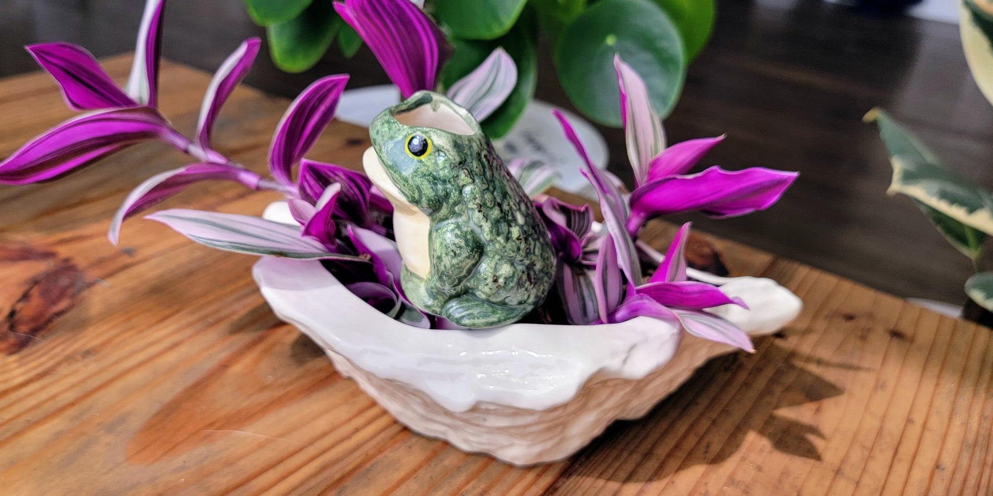 Frog Watering Spike Mountain Mudworks