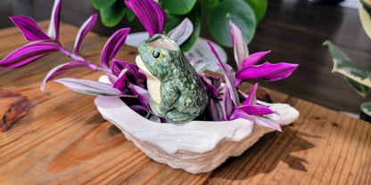 Frog Watering Spike Mountain Mudworks