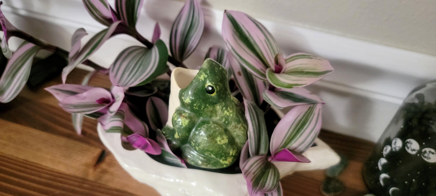 Open-Mouth Frog Plant Watering Spike Mountain Mudworks