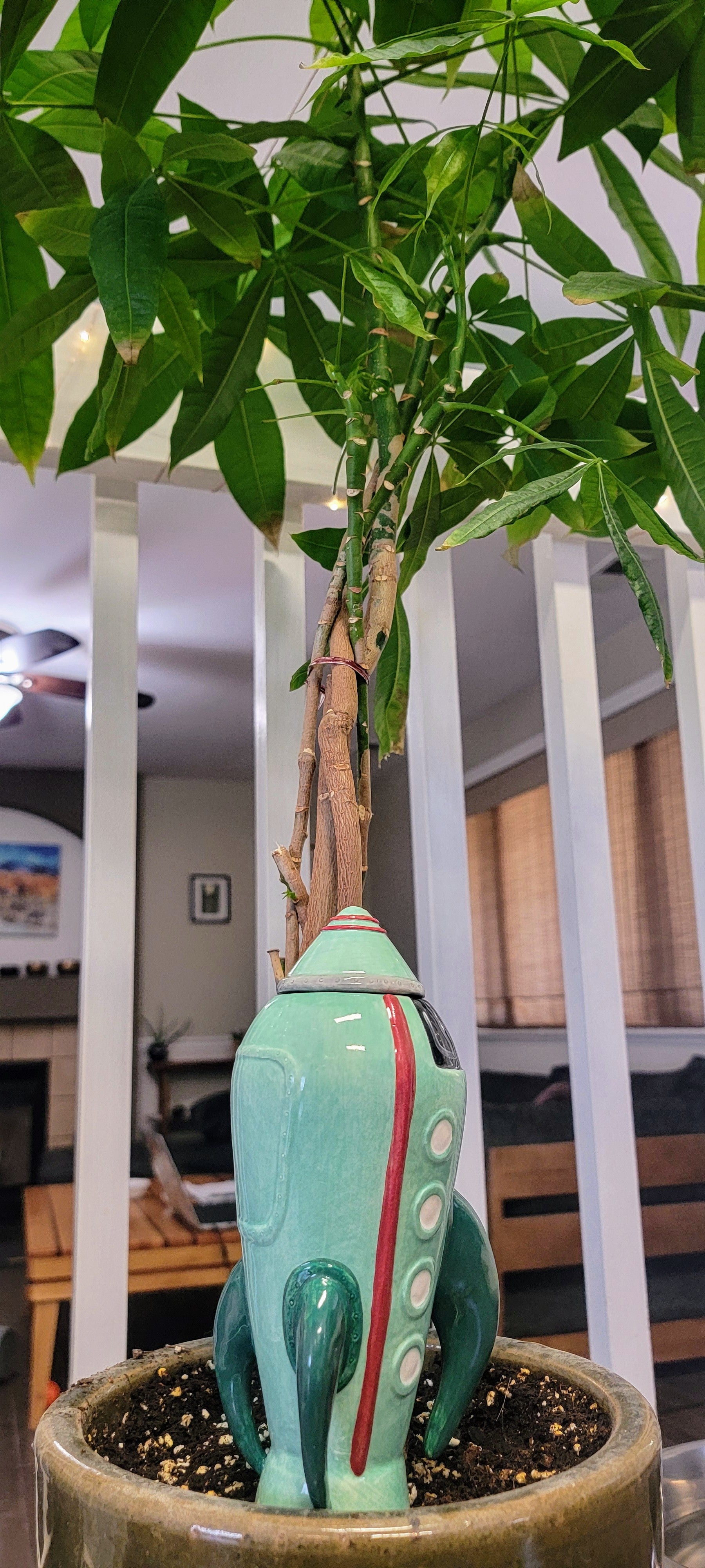 Rocketship Watering Spike Mountain Mudworks