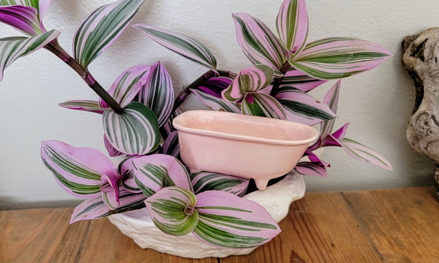 Bathtub Watering Spike Mountain Mudworks