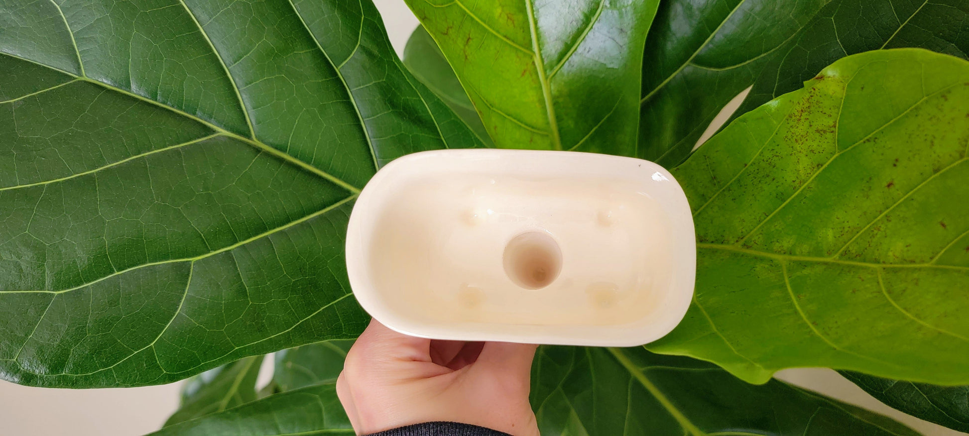 Bathtub Watering Spike Mountain Mudworks