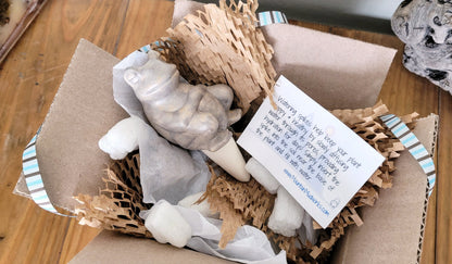 Chill Frog Watering Spike Mountain Mudworks