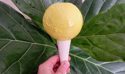 Moon Plant Watering Spike Mountain Mudworks