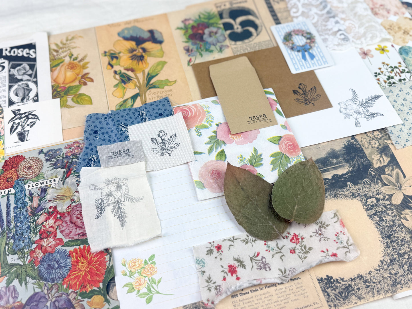 Botanical and Nature Ephemera Kit A House of Books