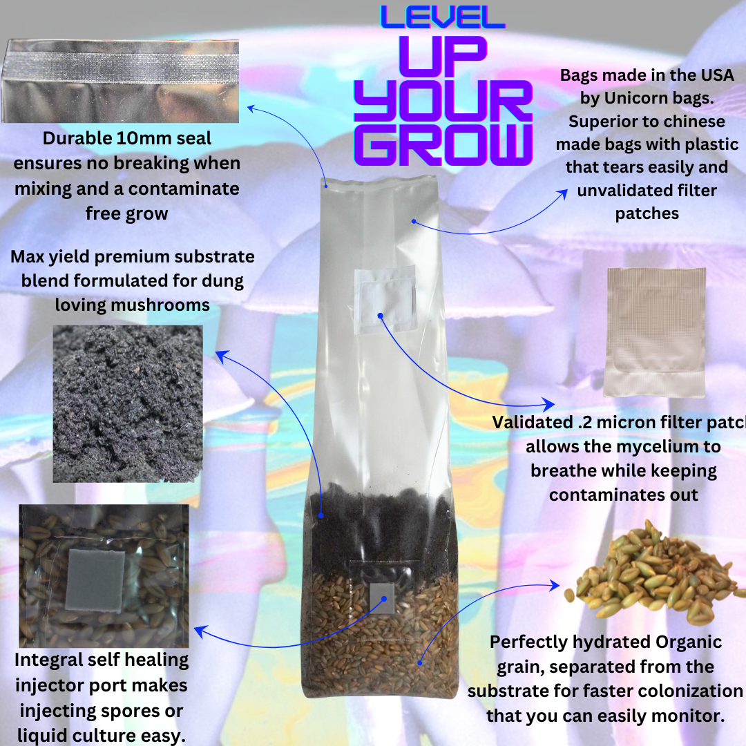 Mushroom Grow Kit - 4 Pack - All In One