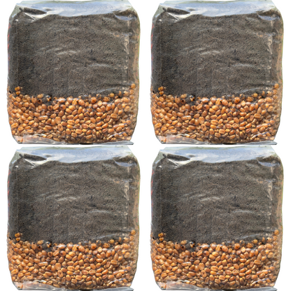 Mushroom Grow Kit - 4 Pack - All In One