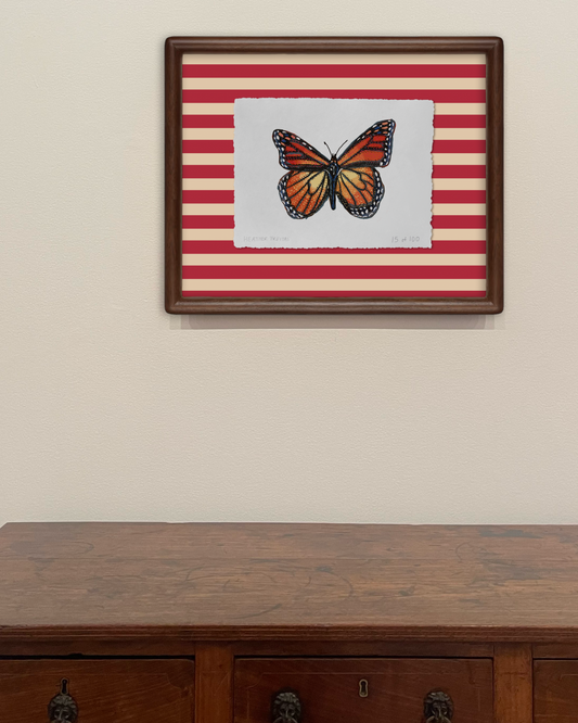 Monarch Butterfly Limited Edition Framed Print