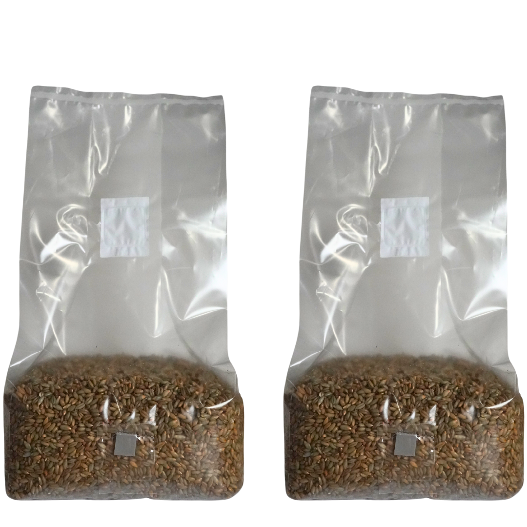 Sterile Mushroom Grain Spawn Kit (5 Pound)