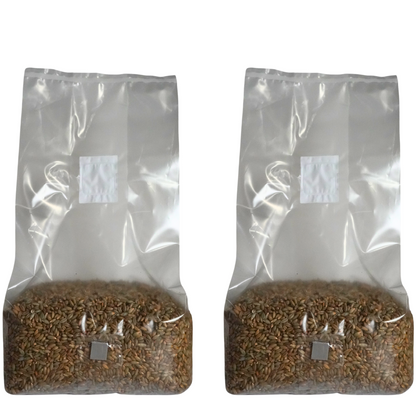 Sterile Mushroom Grain Spawn Kit (5 Pound)