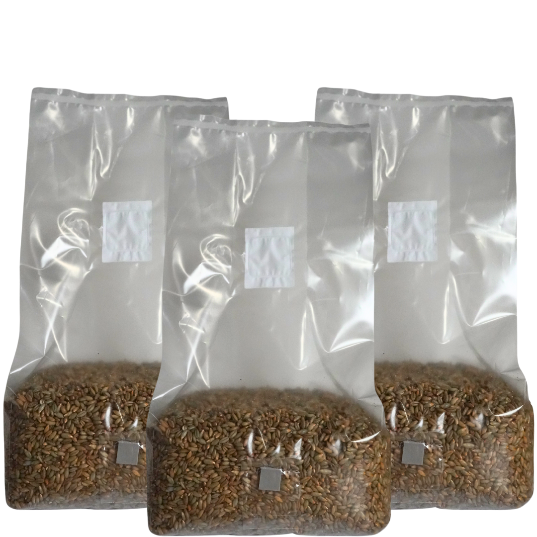 Sterile Mushroom Grain Spawn Kit (5 Pound)