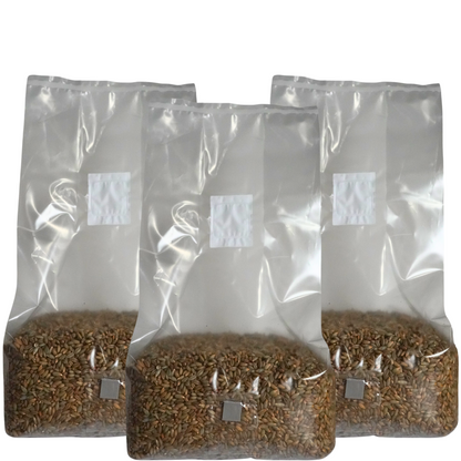 Sterile Mushroom Grain Spawn Kit (5 Pound)