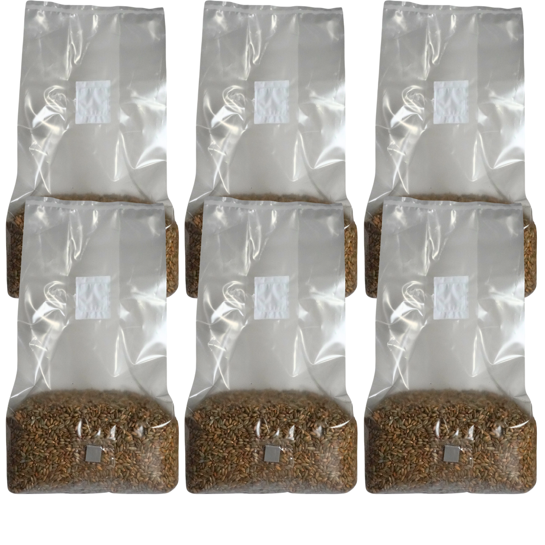 Sterile Mushroom Grain Spawn Kit (5 Pound)