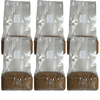 Sterile Mushroom Grain Spawn Kit (5 Pound)